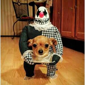 Fundraising Page: Lori Richards